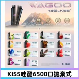 Kis5電子煙 Kiss拋棄式哇酷|WAGOO6500口一次性電子煙