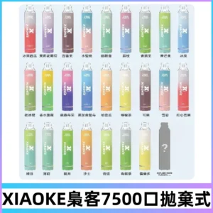 梟客XIAOKE|7500口可發光拋棄式電子煙 跑馬燈一次性